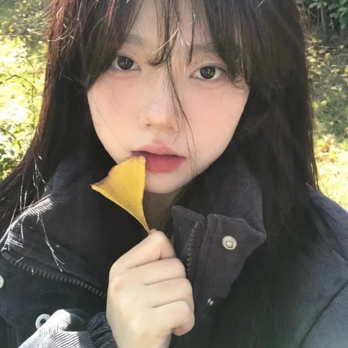 罗宾汉